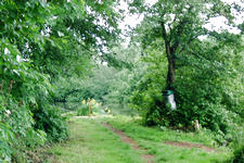 wielen_225x150_036.jpg