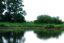 wielen_225x150_037.jpg