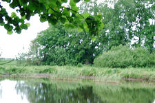 wielen_225x150_039.jpg