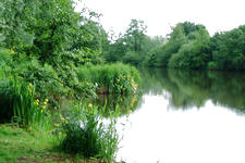 wielen_225x150_041.jpg
