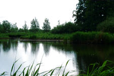 wielen_225x150_042.jpg