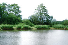 wielen_225x150_045.jpg