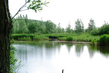 wielen_225x150_047.jpg