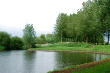 wielen_225x150_049.jpg