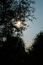 wielen_150x225_006.jpg