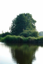 wielen_150x225_021.jpg