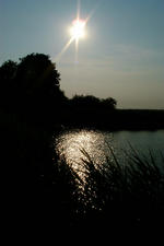 wielen_150x225_027.jpg