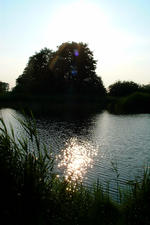 wielen_150x225_030.jpg