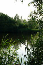 wielen_150x225_036.jpg