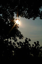 wielen_150x225_038.jpg