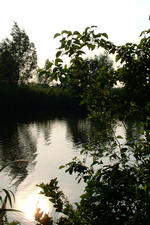 wielen_150x225_040.jpg
