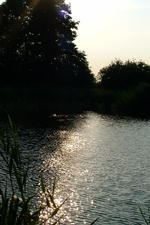 wielen_150x225_049.jpg