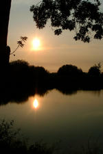 wielen_150x225_054.jpg