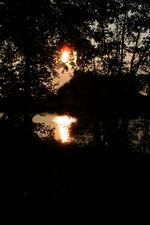 wielen_150x225_059.jpg