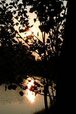 wielen_150x225_062.jpg
