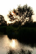 wielen_150x225_063.jpg