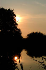 wielen_150x225_067.jpg
