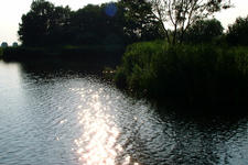 wielen_225x150_005.jpg
