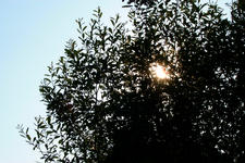 wielen_225x150_009.jpg