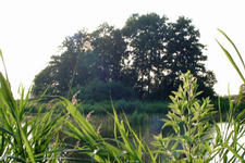 wielen_225x150_035.jpg