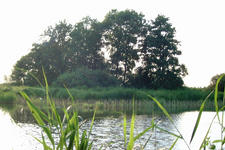 wielen_225x150_047.jpg