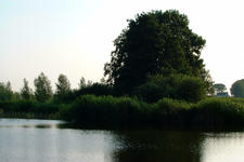 wielen_225x150_051.jpg