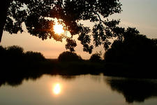 wielen_225x150_056.jpg