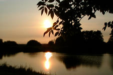 wielen_225x150_058.jpg