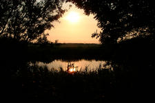 wielen_225x150_065.jpg