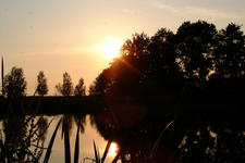 wielen_225x150_068.jpg