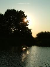 wielen_170x227_009.jpg