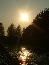 wielen_170x227_011.jpg