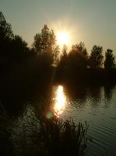 wielen_170x227_013.jpg