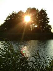 wielen_170x227_018.jpg