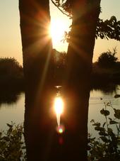 wielen_170x227_021.jpg