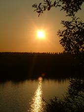 wielen_170x227_030.jpg