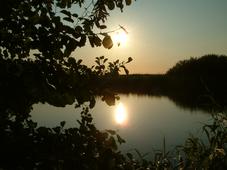 wielen_227x170_007.jpg