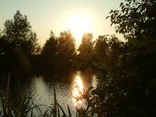 wielen_227x170_015.jpg