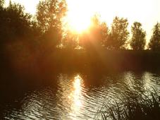 wielen_227x170_023.jpg