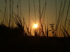 wielen_227x170_028.jpg