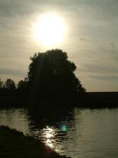 wielen_170x227_017.jpg