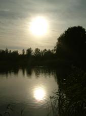wielen_170x227_018.jpg