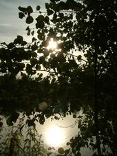 wielen_170x227_019.jpg