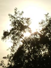 wielen_170x227_025.jpg