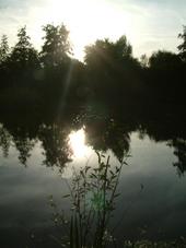 wielen_170x227_026.jpg
