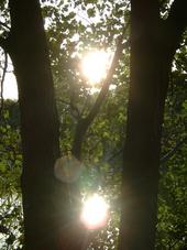 wielen_170x227_029.jpg