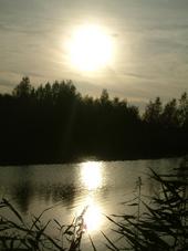 wielen_170x227_031.jpg