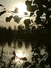 wielen_170x227_032.jpg