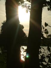 wielen_170x227_034.jpg