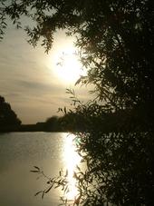 wielen_170x227_040.jpg